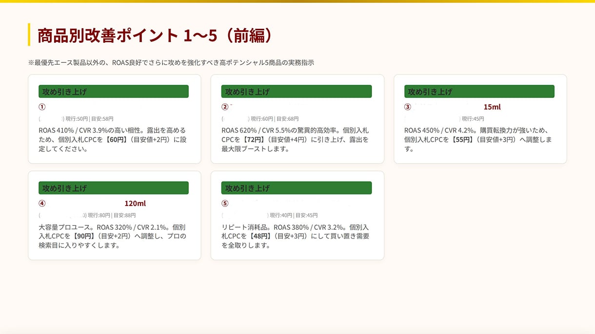 無駄な広告費を止める！楽天RPP広告の診断をします 「指示通りに入力するだけ」のRPP超具体的な指示書作成します イメージ6
