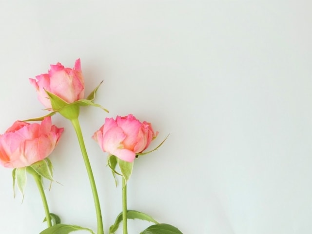１分だけでもお話し相手になります ひとりで寂しい時は、お話ししましょう イメージ2