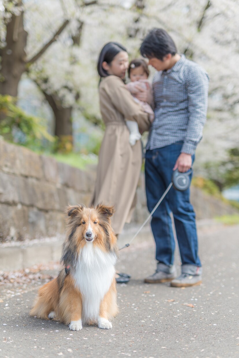 人物・ペット写真１枚を自然にレタッチします 自然な仕上がりからアーティスティックなタッチまでお任せを！ イメージ5