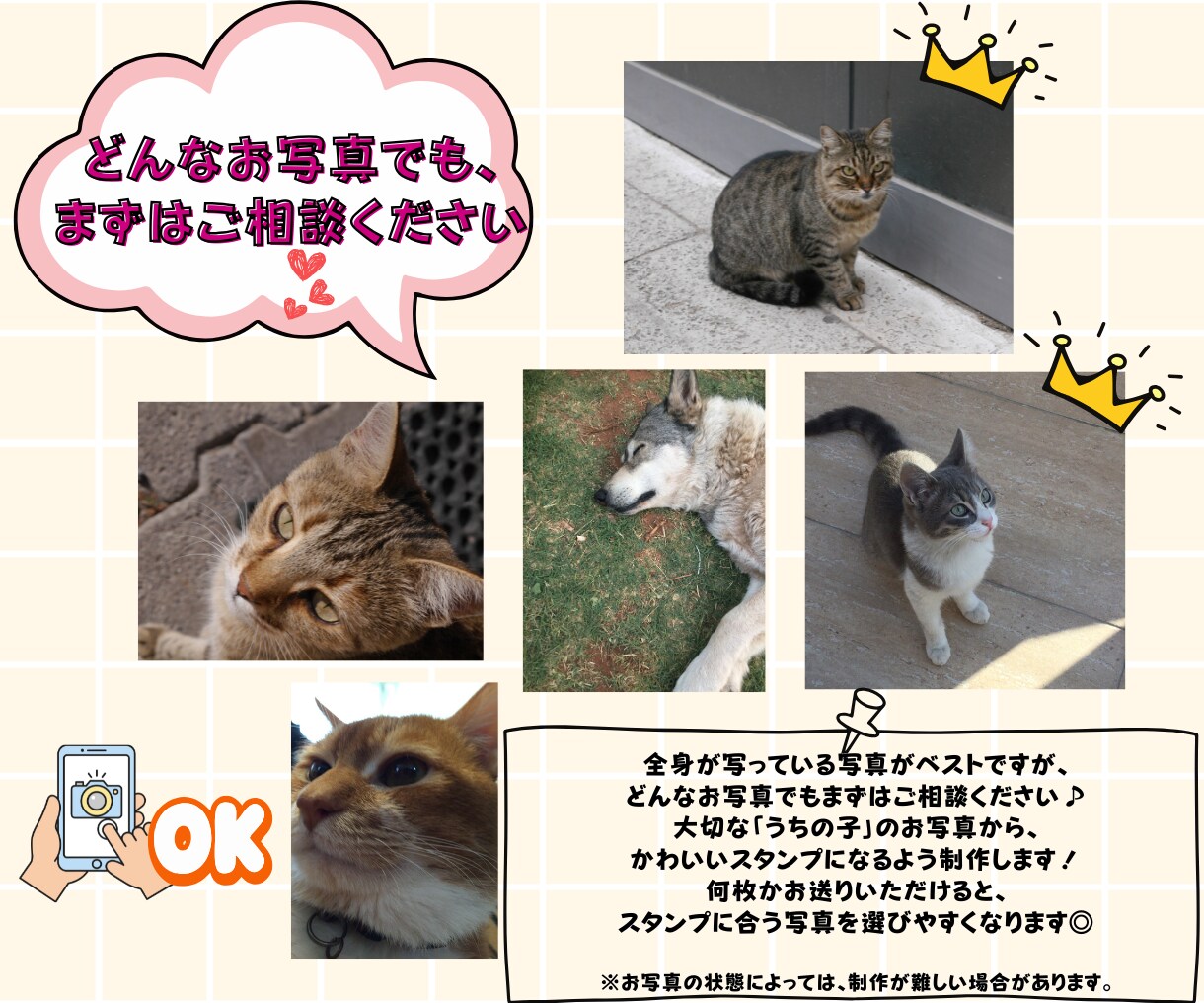 あなたのペットのお写真でLINEスタンプを作ります 愛犬・愛猫のお写真を毎日使える可愛いスタンプにします イメージ5