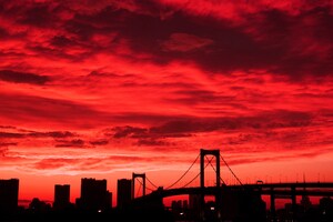 要注意！★恋愛についてズバッと回答します 優しい言葉はいいので、ズバッと言われたい人におすすめです！ イメージ1
