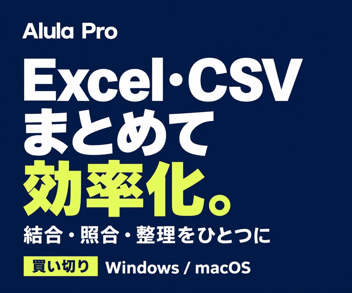 Excel・CSV作業効率化PCアプリを提供します 人を増やす前に、定型作業を減らす。 少人数でも回る事務体制へ イメージ1