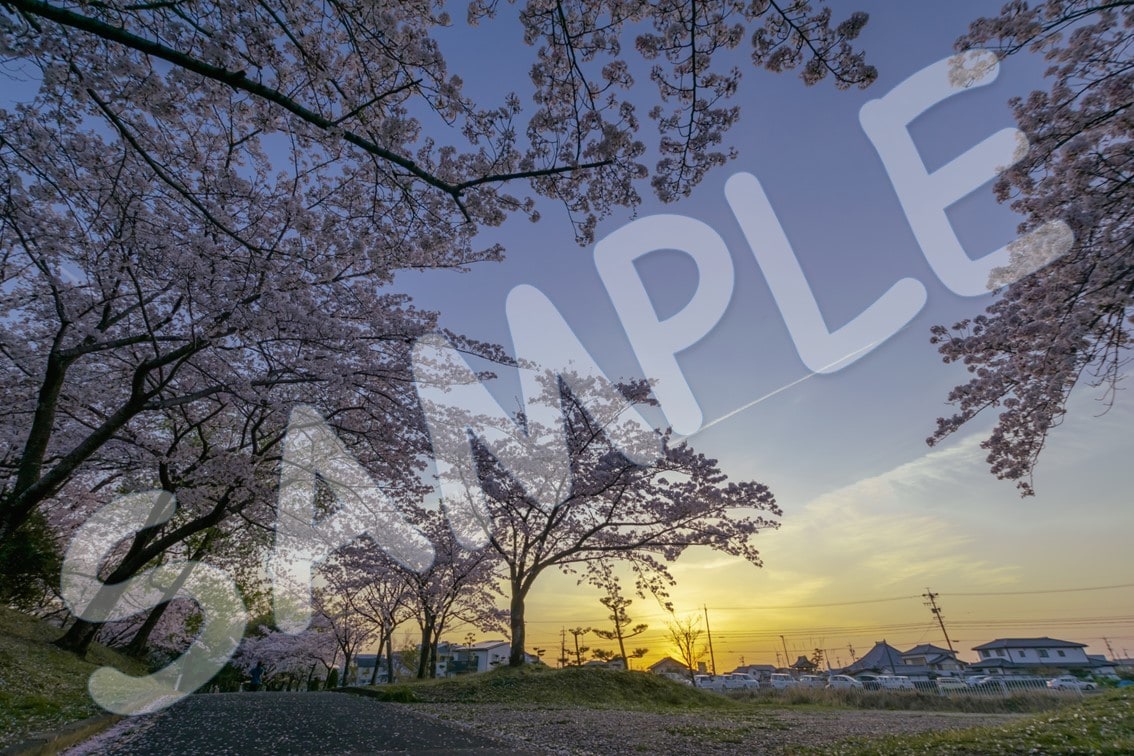 季節を感じる花や風景などの写真素材を提供します 5年以上撮りためた写真の中からイメージにあった写真探します！ イメージ2