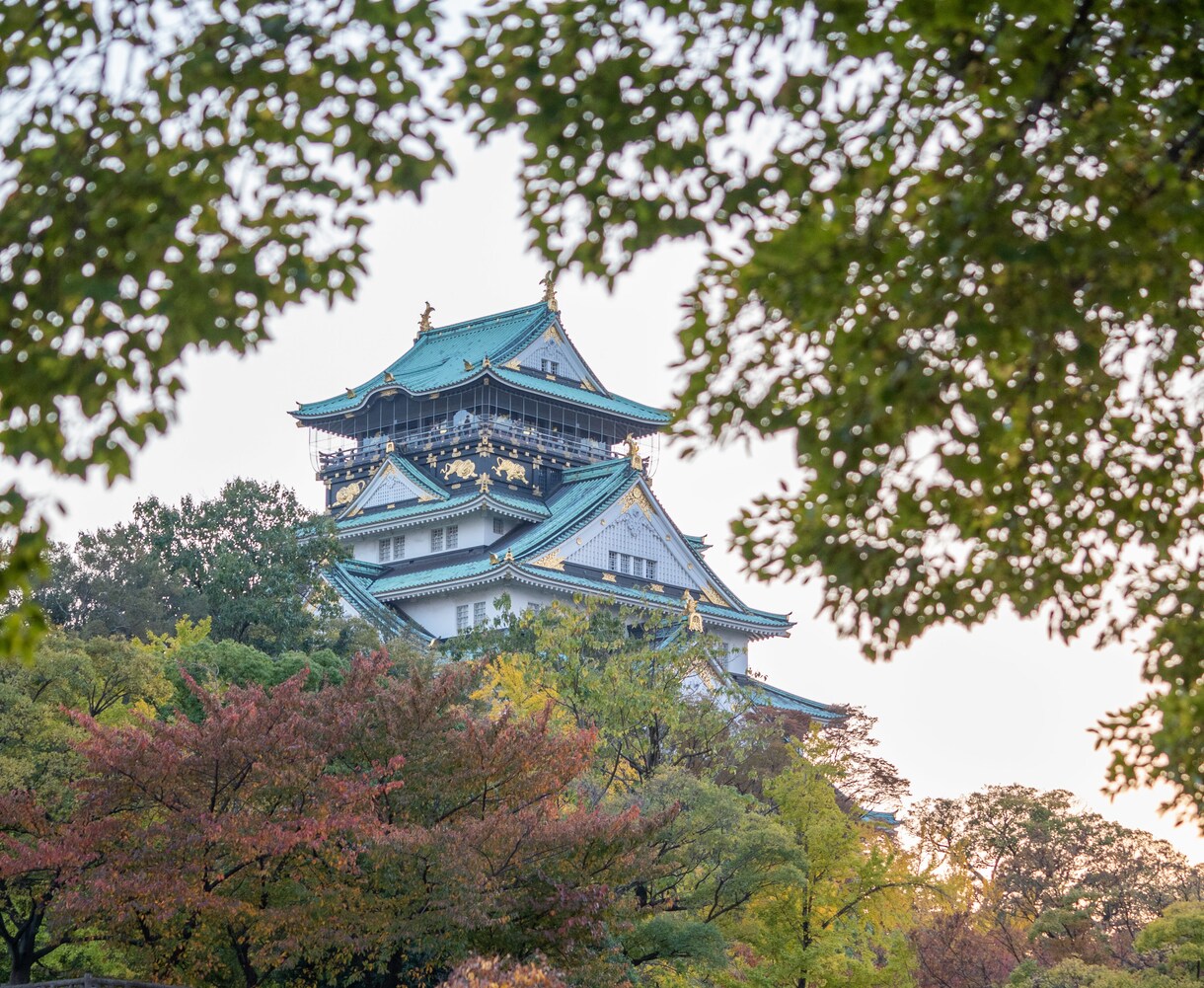 写真撮影しに行きます 行けない人に変わって出張撮影してきます イメージ4