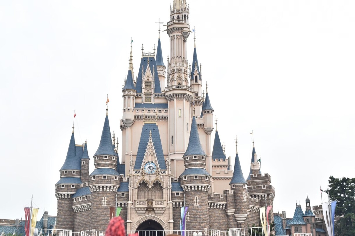 東京ディズニーリゾート☆プラン提案します ☆家族と、友人と等…etc.状況に合ったプラン提案致します☆ イメージ1