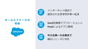 Salesforceカスタマイズします Salesforceを使いやすいように改善します。 イメージ2