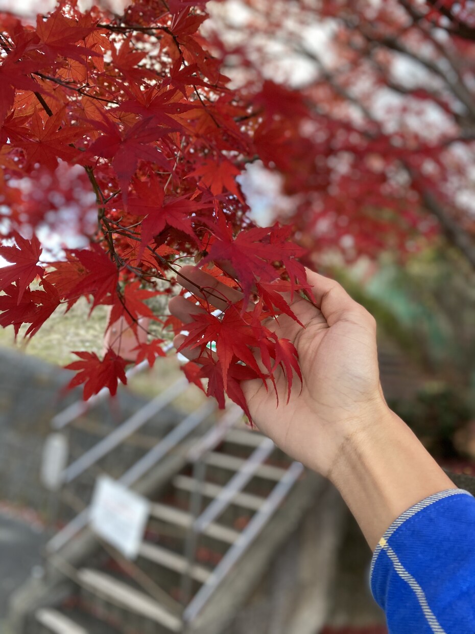 愚痴や悩みをお聞きします どんな些細なことでも構いません。 イメージ1