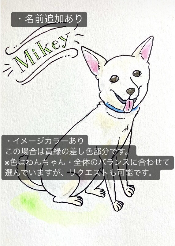 透明水彩絵具で大切なペットのイラストを手描きします そのままプレゼントしたりお部屋に飾れる原画ポストカードです♪ イメージ8