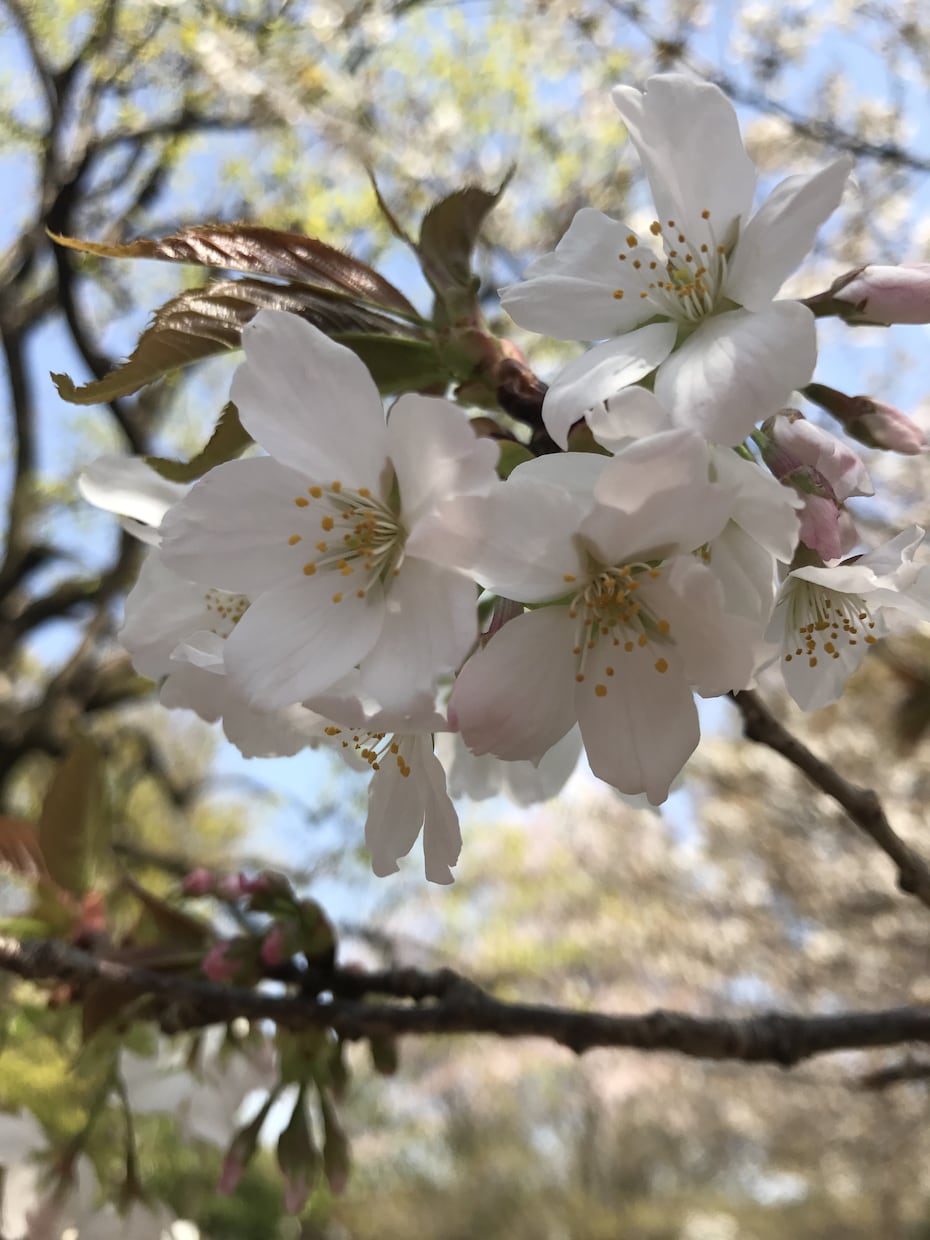 心がホッとひと休み。 お手伝い致します どんなことも心からご一緒します、且つ多角的に解決策も共に イメージ1