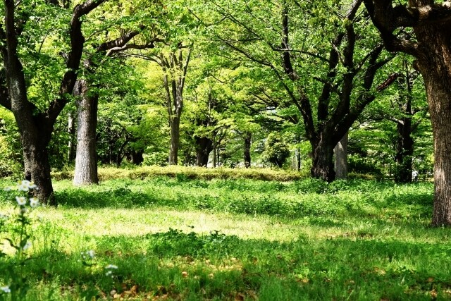 復活記念割引★あの人の気持ちをみます 占いをもっと身近に。今日の運勢気分で♪タロットとオラクル★ イメージ10