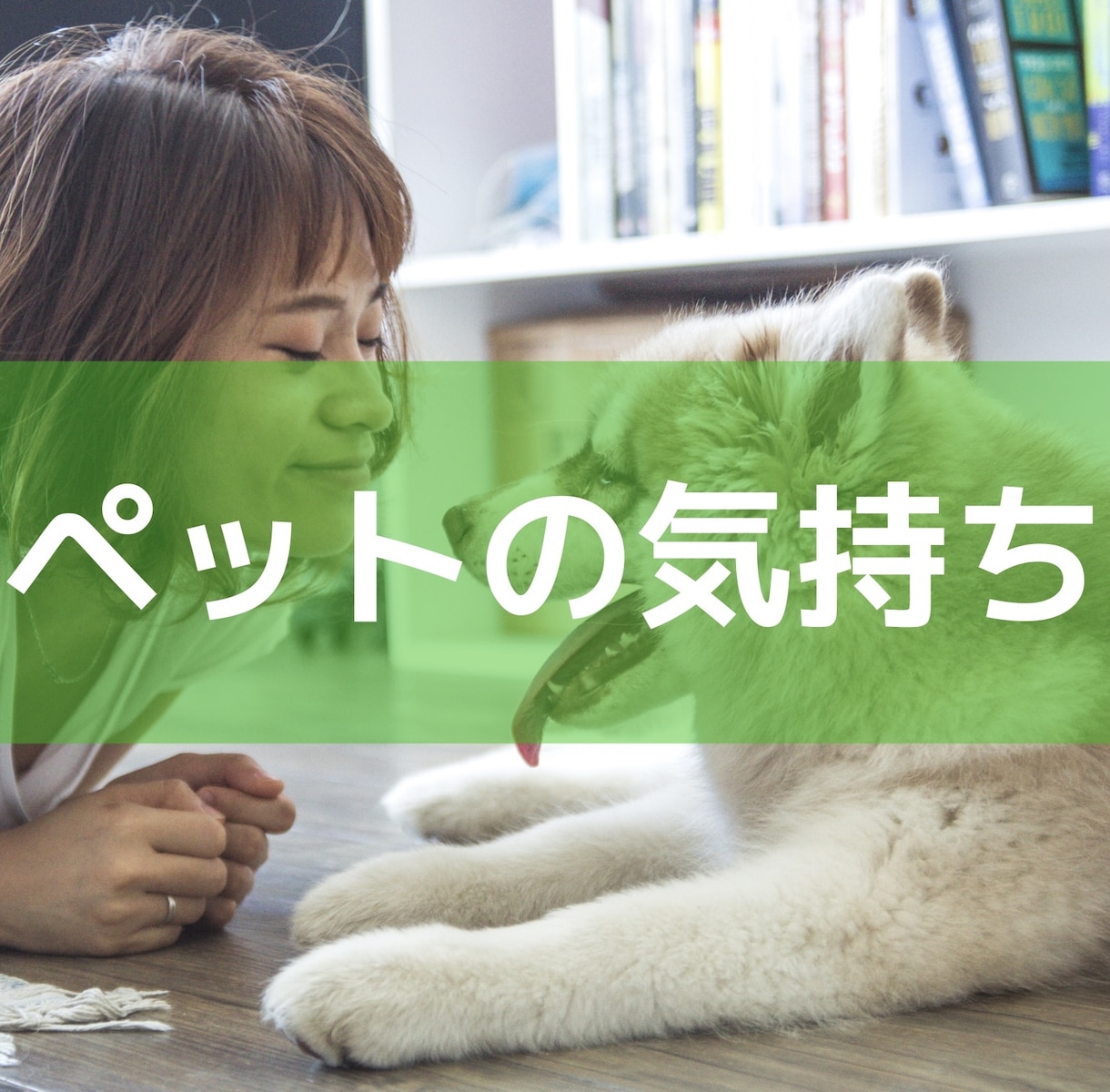 あなたの家族であるペットの声をお届けします 何を考えているのか少しでも知れたら良いなと思いませんか？ イメージ1