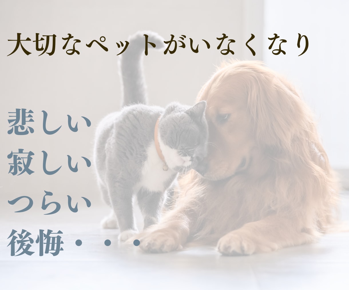 ペットロス専門☆愛するペットのお話、すべて聴きます ペットロス経験者・現役カウンセラーの私が、すべて受け入れます イメージ2