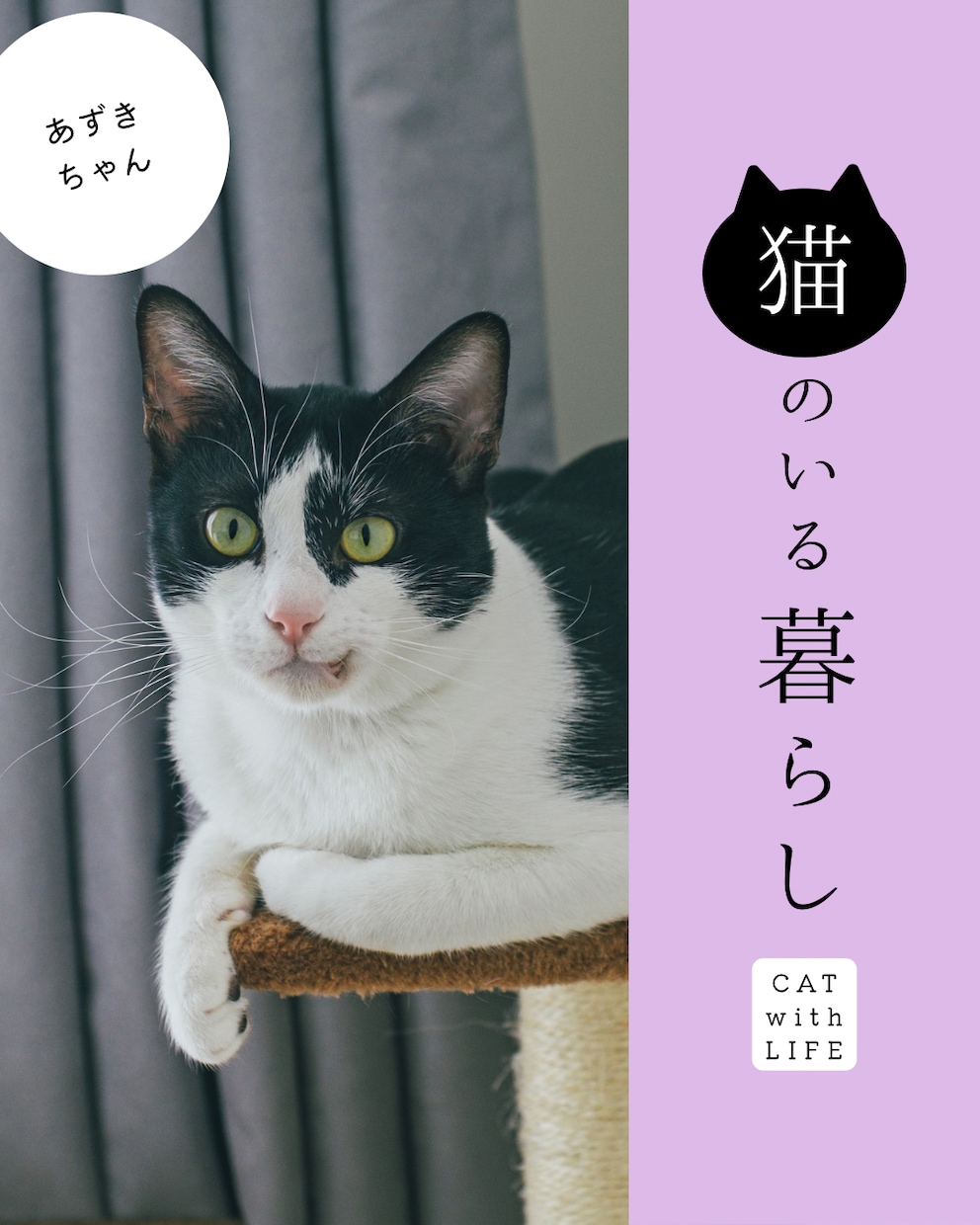 アニマルコミニケーションでペットちゃんの声届けます ペットの声と遠隔でペットちゃんに5分間ヒーリング流します！！ イメージ3