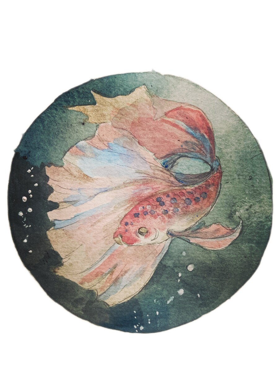 SNS用向けのアイコンを作成いたします 創作、アバターも対応可能です！動物イラストも得意です！ イメージ4