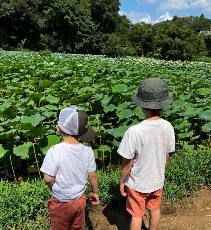 子育てママの食育・健康相談乗ります 2児男子を育てる薬剤師ママが食育をサポート！ イメージ3