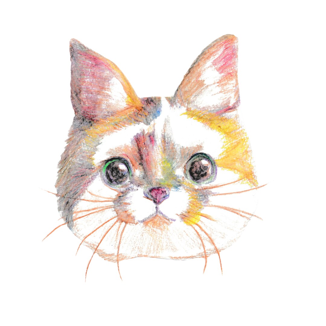 ペットの似顔絵描きます アナログでペットの似顔絵を描きます。 イメージ5
