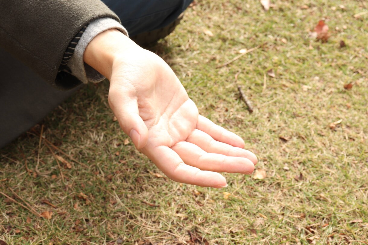 3ヶ月で自分のありたい姿で生活する事を見届けます 自分で諦める、自分が分からない、一緒に1歩んでみませんか？ イメージ1