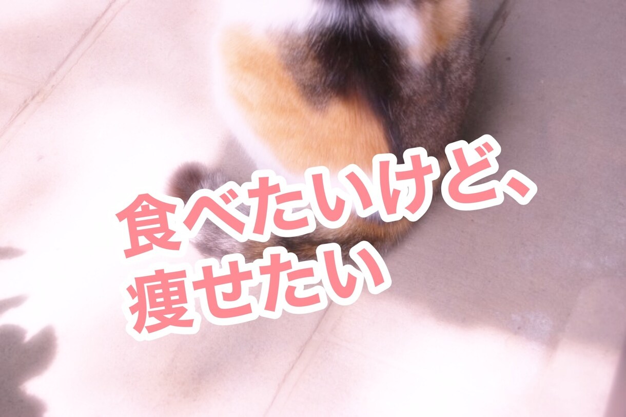 食べたいのに食べれない、摂食障害の相談のります 食べたいものを食べて楽しく体型キープ イメージ1