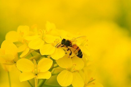 管理栄養士が食事の栄養価計算をします 食事の内容からカロリー計算します☆ イメージ1