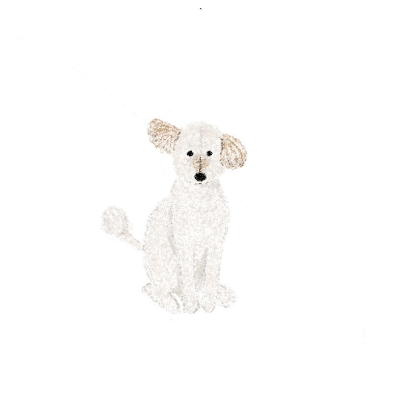 ペットのイラストを描きます あなたのお家の小さな家族（ペット）の絵を描かせてください！ イメージ2