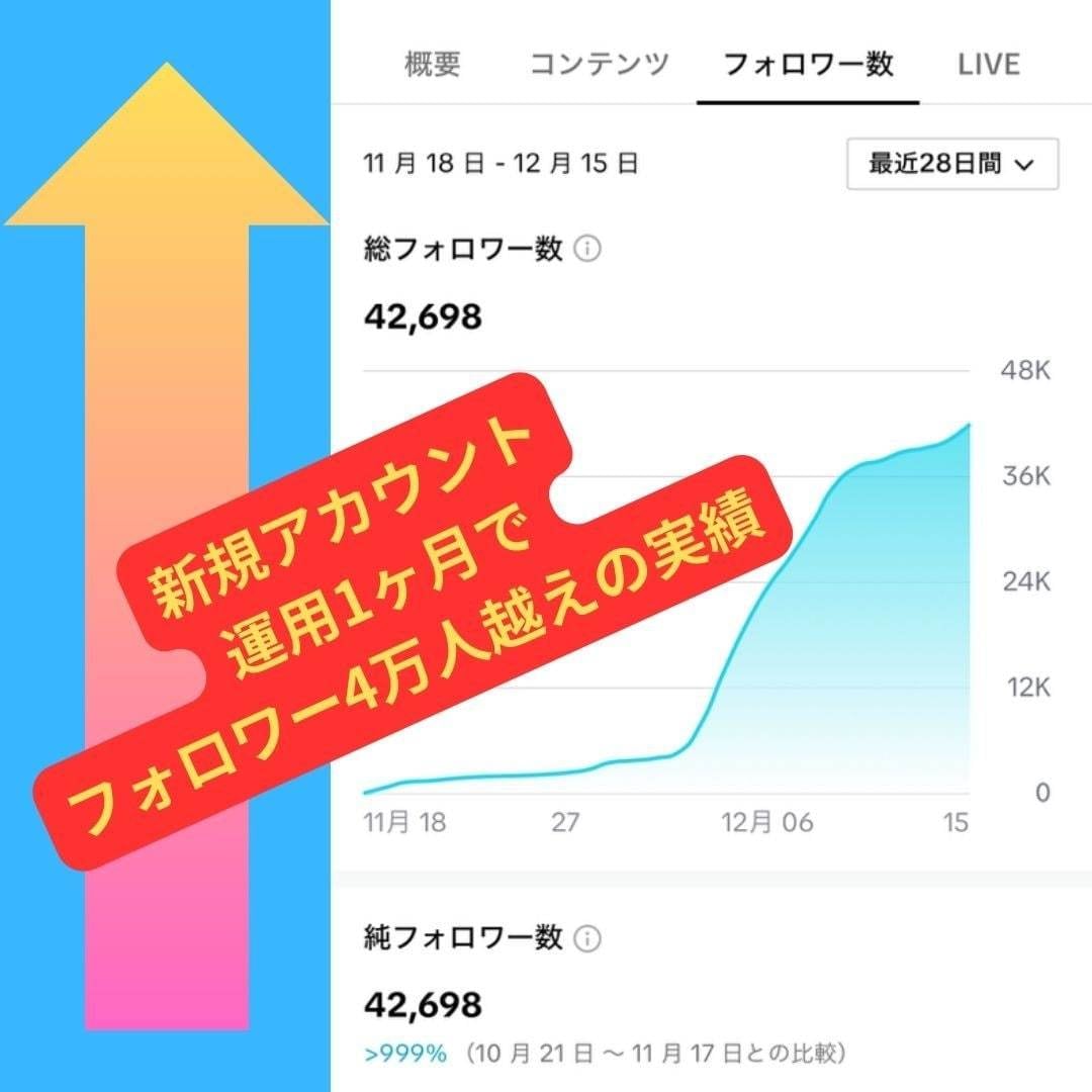 現役プロがTikTok運用をします 今がバズるチャンス⁉ティックトックを手軽に運用できる！ イメージ2