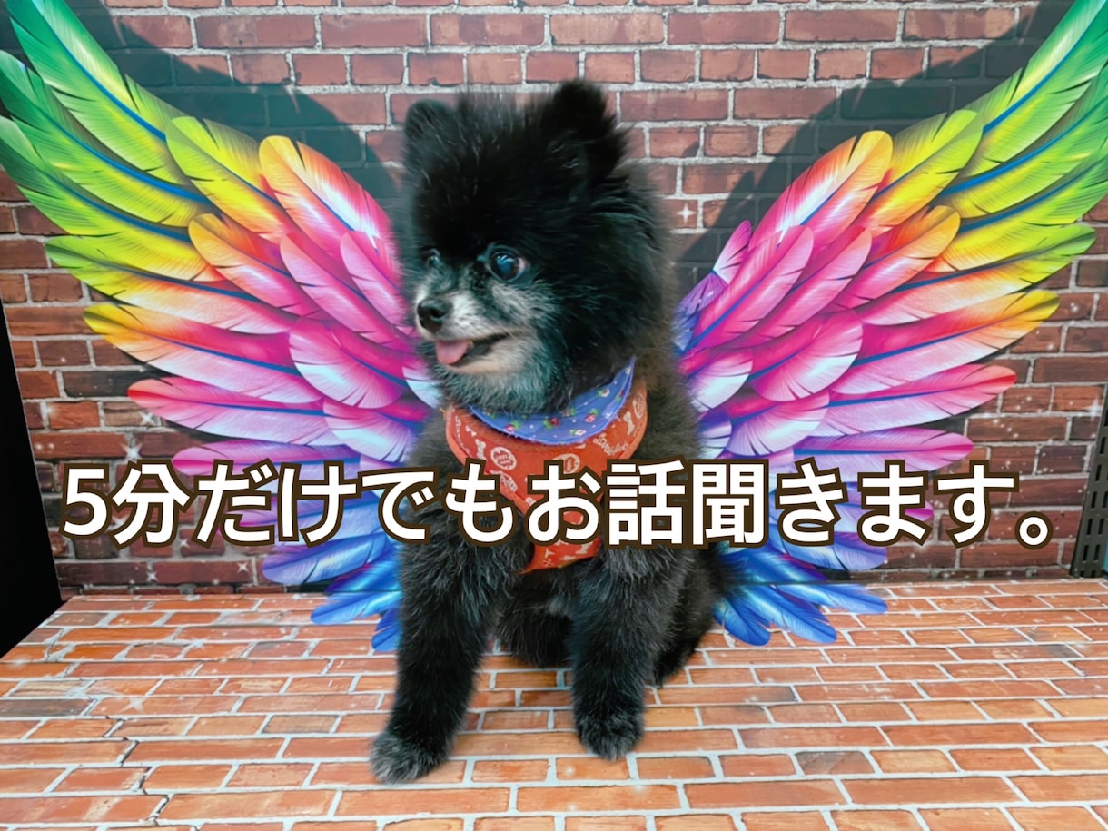 あなたのお話、なんでも聞きます うどんの国からやってきました。讃岐弁で楽しくお話しましょう イメージ1