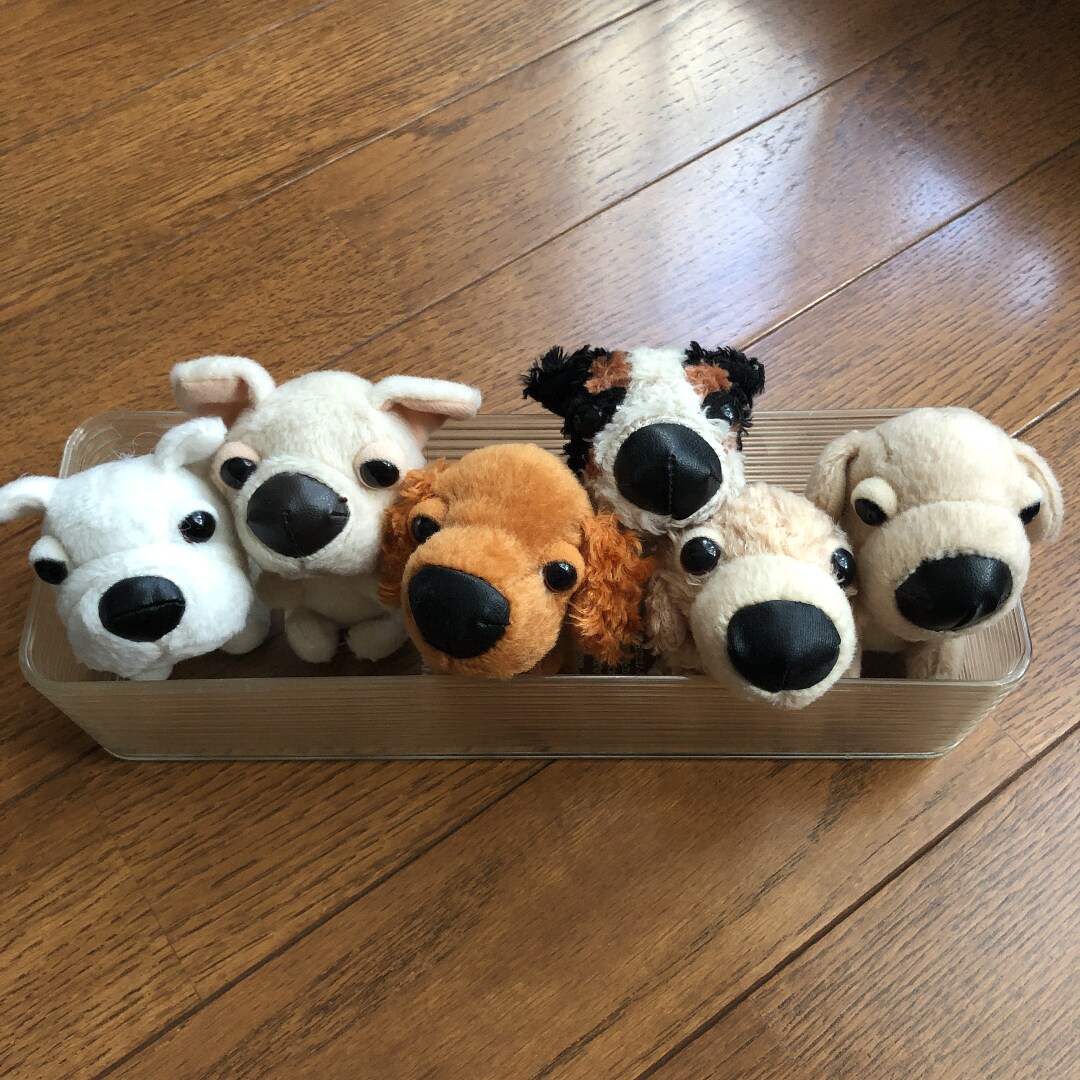 お話、何でも聴きます 本日の聴き役担当ガッキーです！ イメージ4