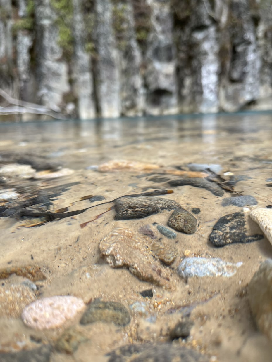 写真を販売します 写真の素材を探していませんか？？ イメージ2