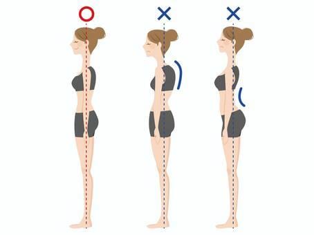 オンラインパーソナルトレーニングをします 自宅で出来るあなたの骨格に適したトレーニングを提供します！ イメージ2