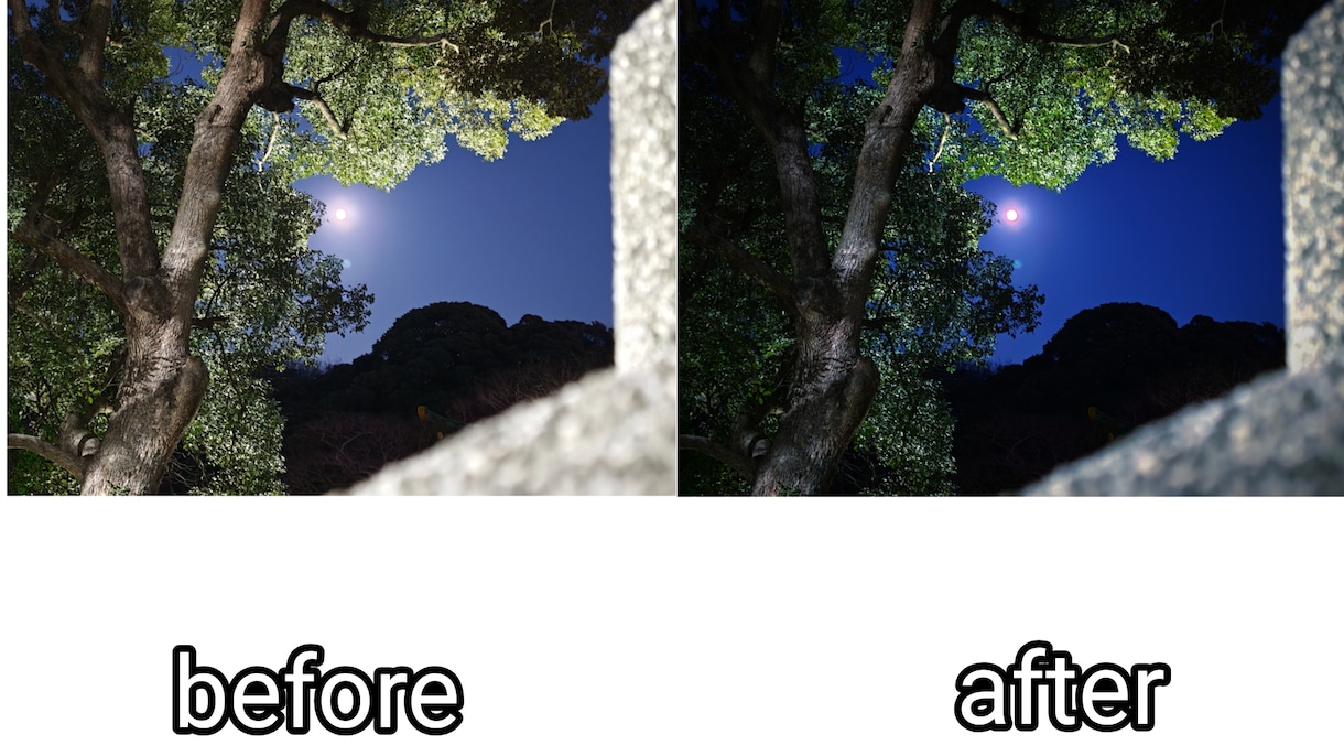写真加工します 写真を美しく色鮮やかに加工します イメージ6