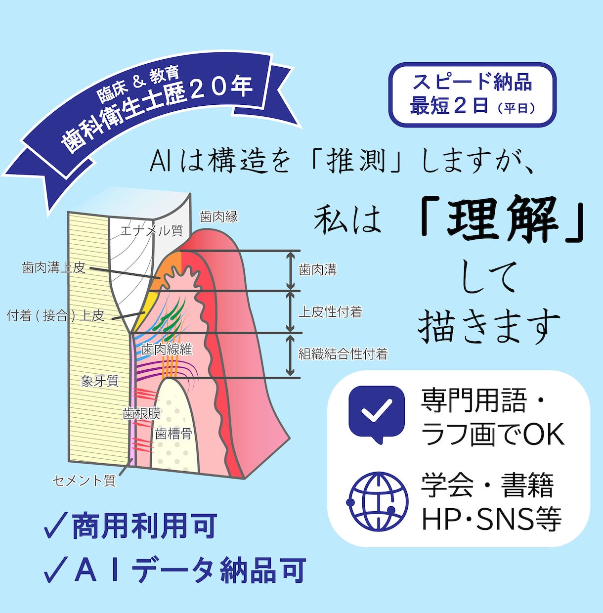 伝わる歯科イラスト描きます AI・JPEG・PNG・PDF対応 イメージ1