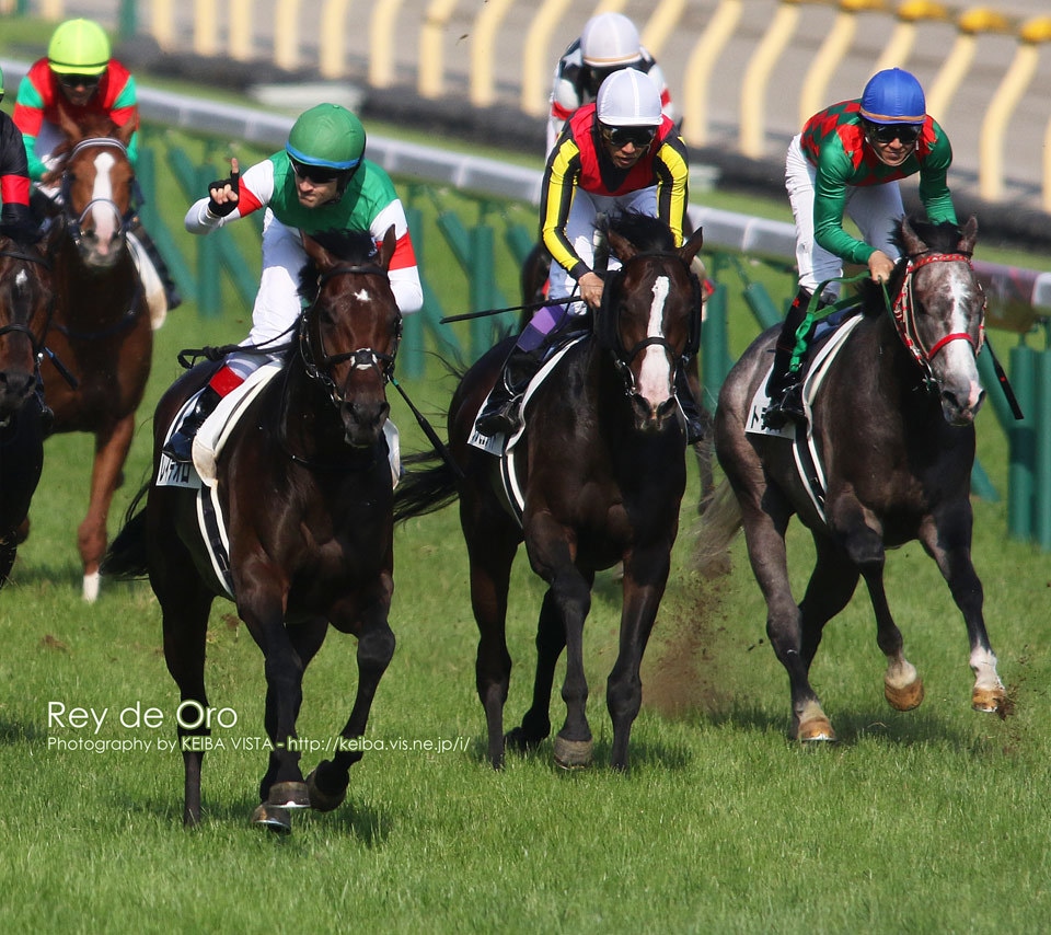 福島競馬・究極の馬券術教えます 福島競馬で低投資・高配当を望まれる方必見!! イメージ1