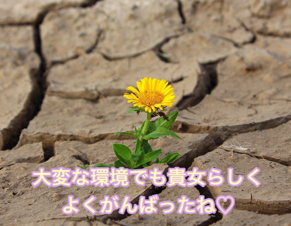 浮気&不倫.誰にも話せないお話お聞きします 小さな事でもお話下さい✨【女性限定】寄り添いホットライン❤️ イメージ3