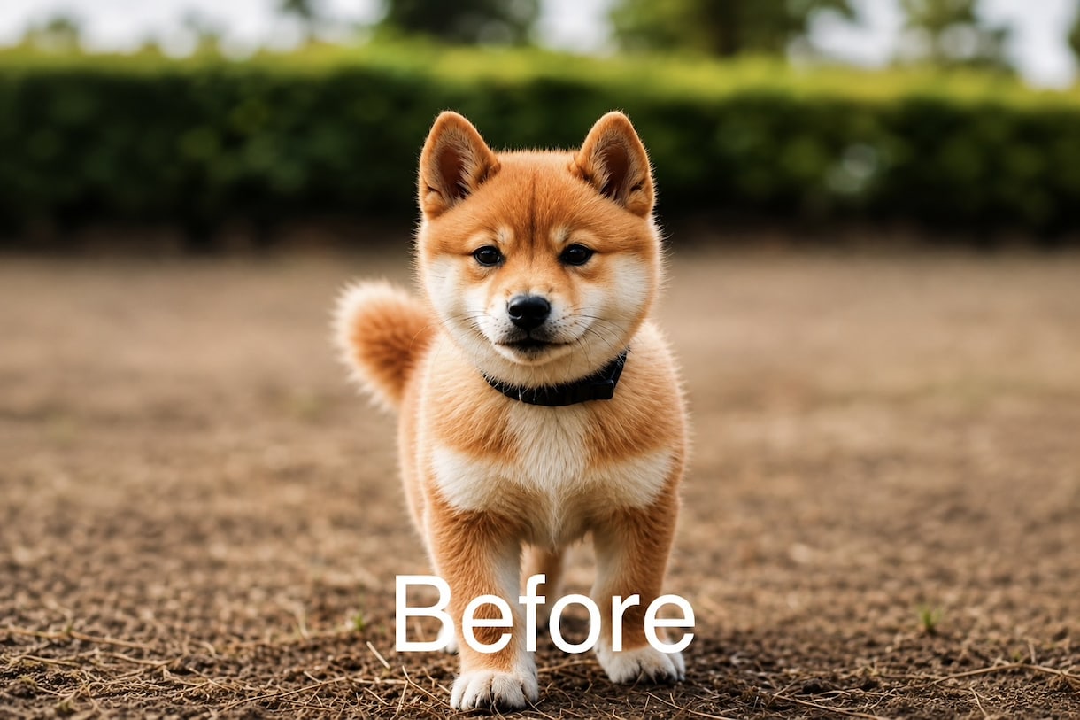 AIで写真をキレイに補正・加工します 大切な思い出の写真をもっと綺麗に イメージ2