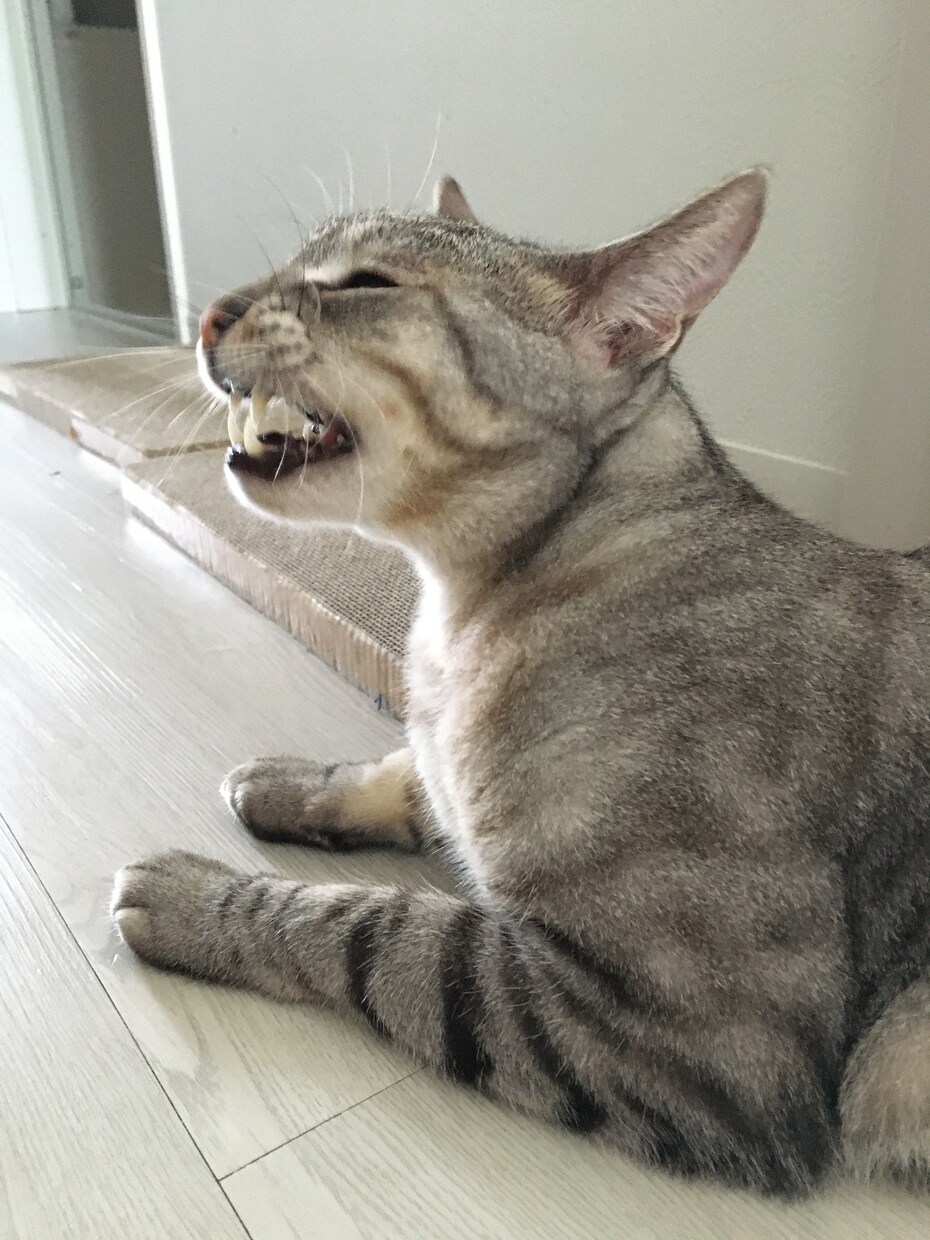 お話聞きます はなしきいてほしいときないですか。 イメージ1