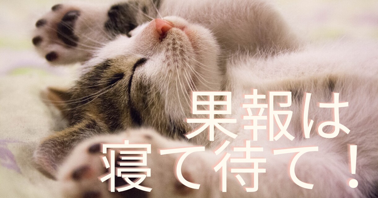 コンテンツ販売で収益化するロードマップを継承します あなたの強みを活かし収益を拡大していく過程を実感して下さい！ イメージ8