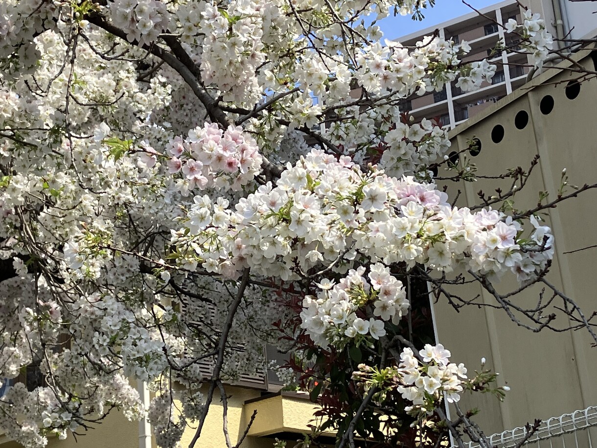 深夜に他愛のない会話や愚痴などの話し相手になります 「ただ静かに話を聞いて欲しい」そんな願いに応えます イメージ3