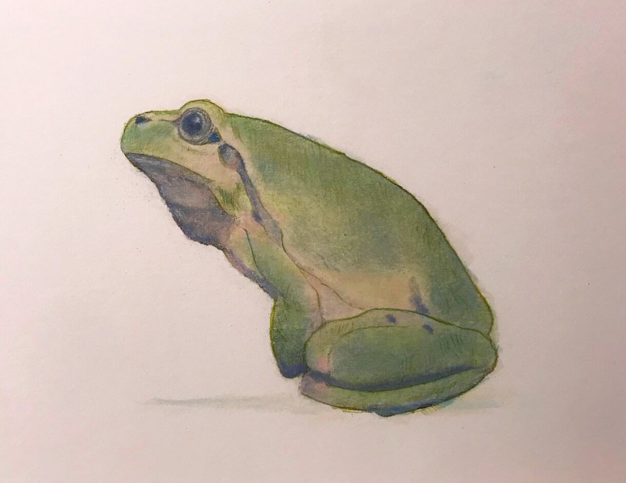 動物や人物、風景などのパステル画で描きます 写真を元に自分なりの色合いで、写実的にパステルで描きます！ イメージ3