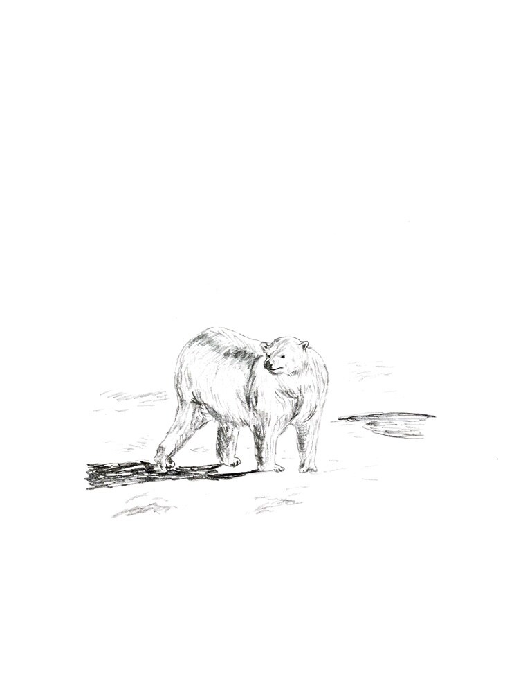 手描き風ゆる〜いもふもふ動物の絵を描きます アイコン、挿絵などに使えます◯ 商用利用ご相談ください イメージ9