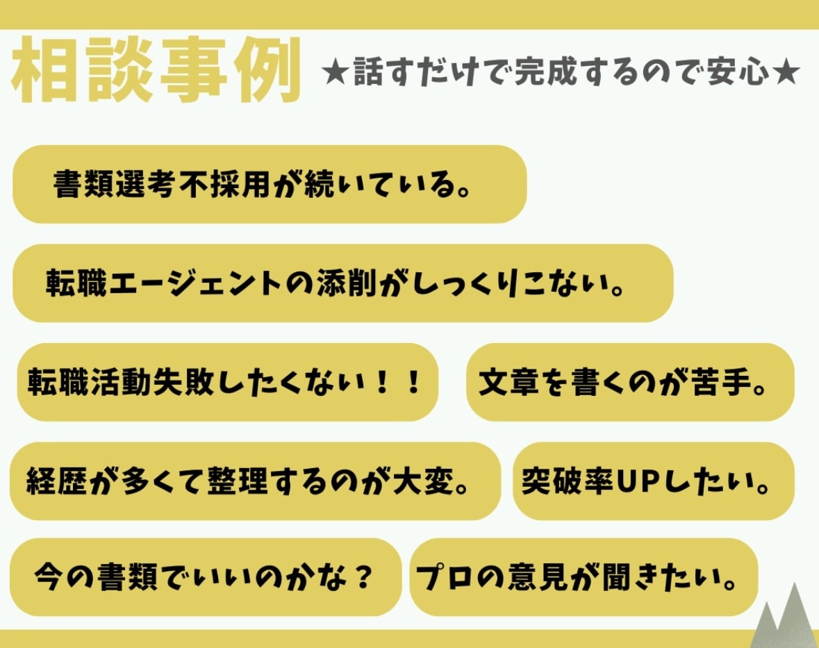 選考通過率UP！職務経歴書を人事のプ口が作成します 話すだけで完成！人事のプロが通過率の上がる職務経歴書を作成 イメージ2