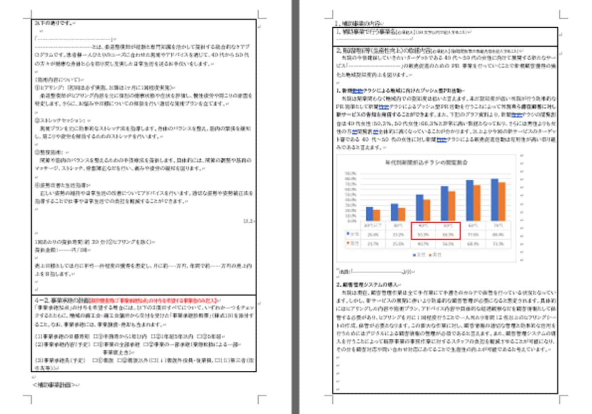 整骨院★持続化補助金採択書類をお譲りします 採択済みの事業計画書を【テンプレート】としても利用できます！ イメージ4