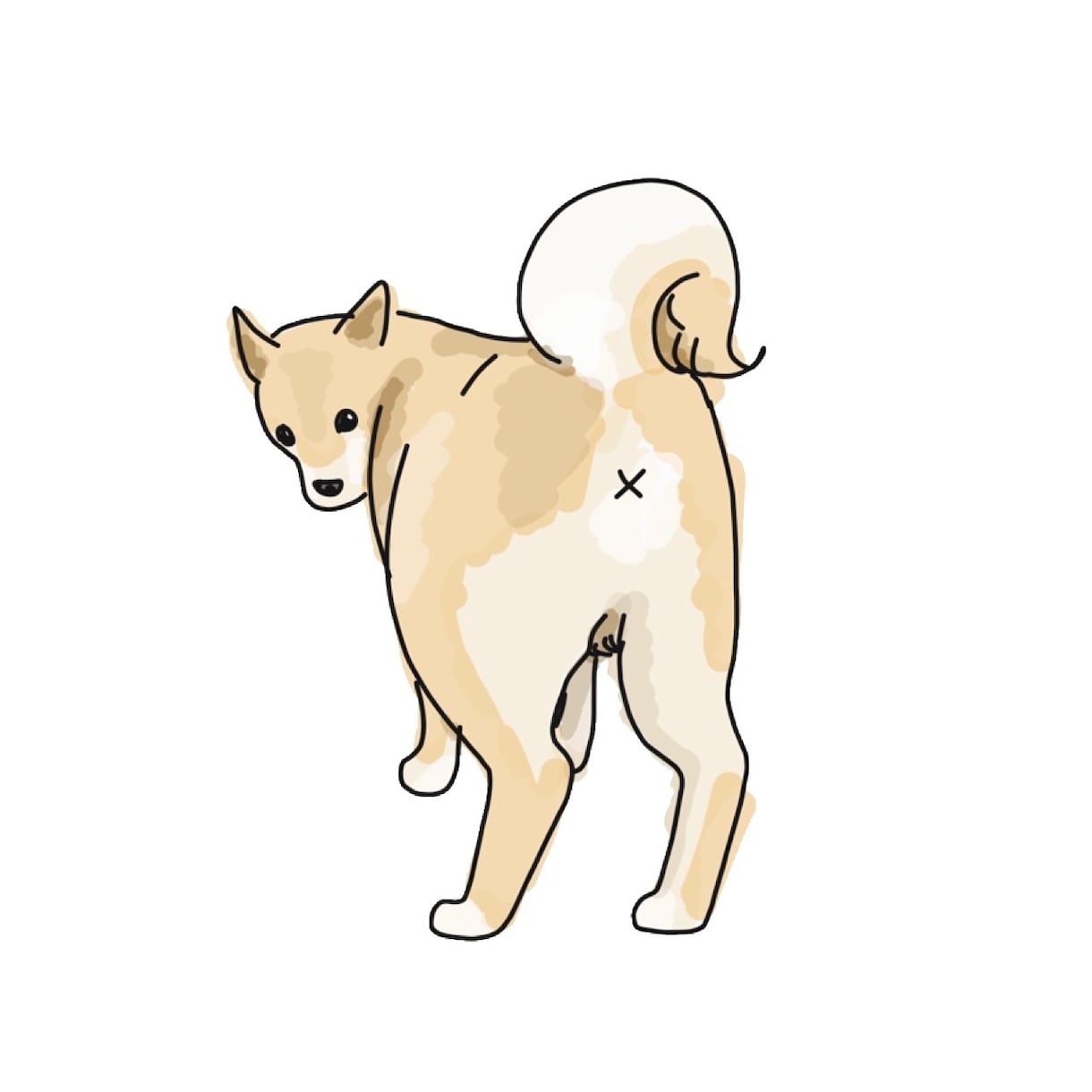 あなたの大切なペットをかわいいイラストにします 思い出に！プレゼントに！ペットのほんわかシンプルイラストを♪ イメージ2