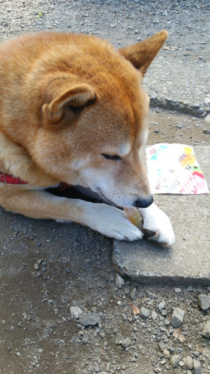 ★介護占い★２年間保証☆みなさんが元気になれれば幸いです イメージ3