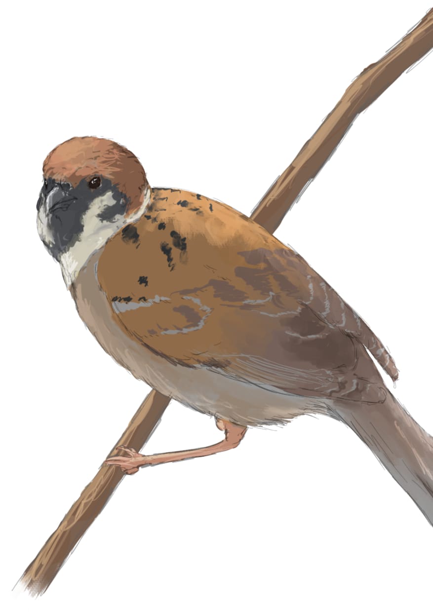 可愛い動物のアイコン描きます SNSなどに使える動物のアイコン、お任せください！ イメージ4
