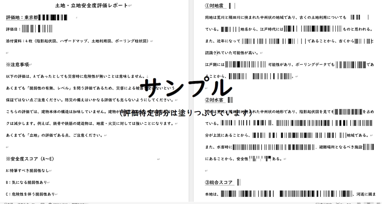 地理学者が土地を診断し、「安全性評価書」を作ります 一生の買い物に安心を。地形・古地図から災害リスクを徹底分析 イメージ2