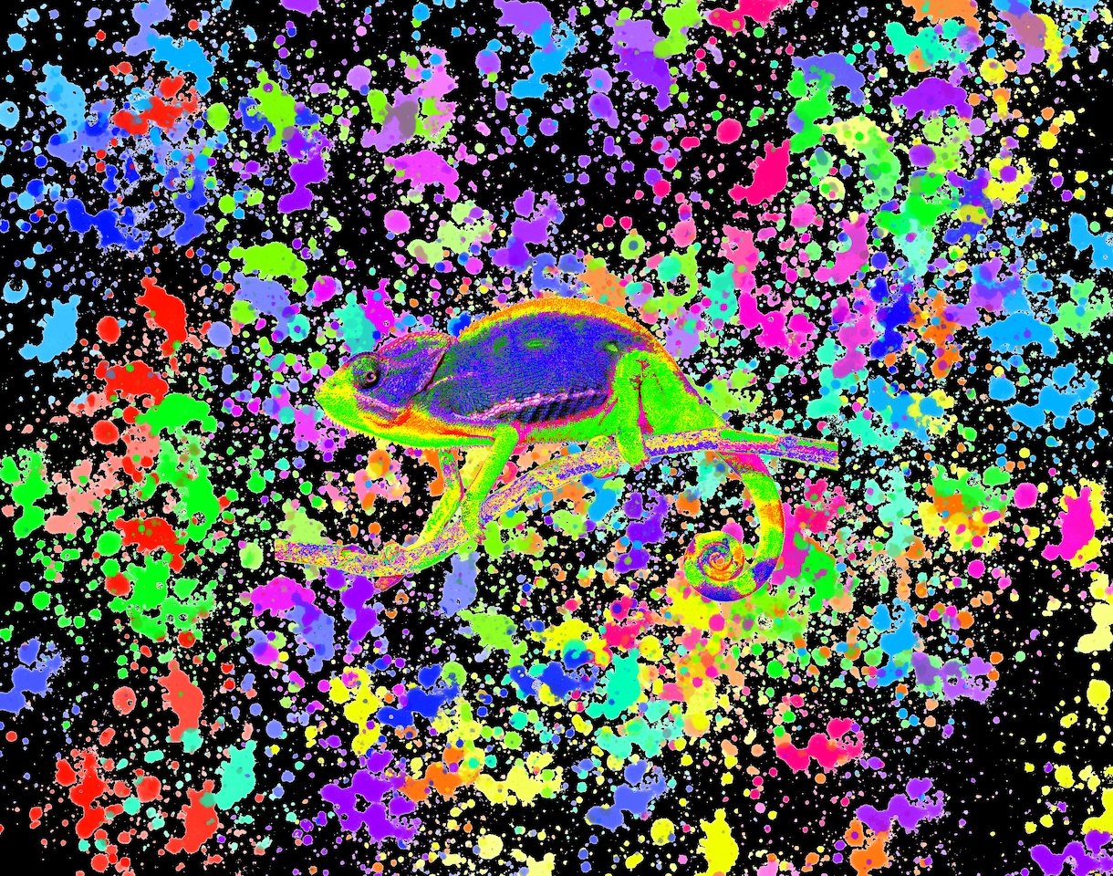 グラフィックデザイン描きます 10年のキャリアで培った感性で創り出すグラフィックデザイン イメージ1
