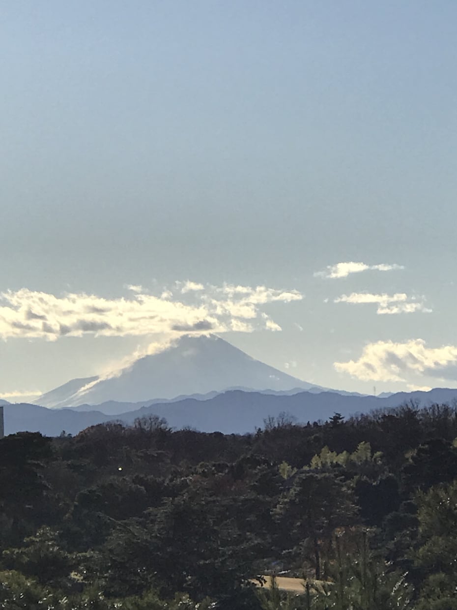 ひとり暮らしで寂しいあなた！お話聞きます 誰かに電話したいけど出来ない！癒しの母と話しましょう！ イメージ2