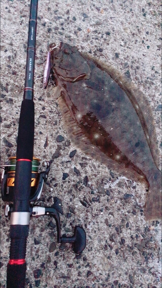 鹿児島県の釣り場を紹介(なんでも)します 釣り好きだけど何が釣れるか分からない！という方へ イメージ2
