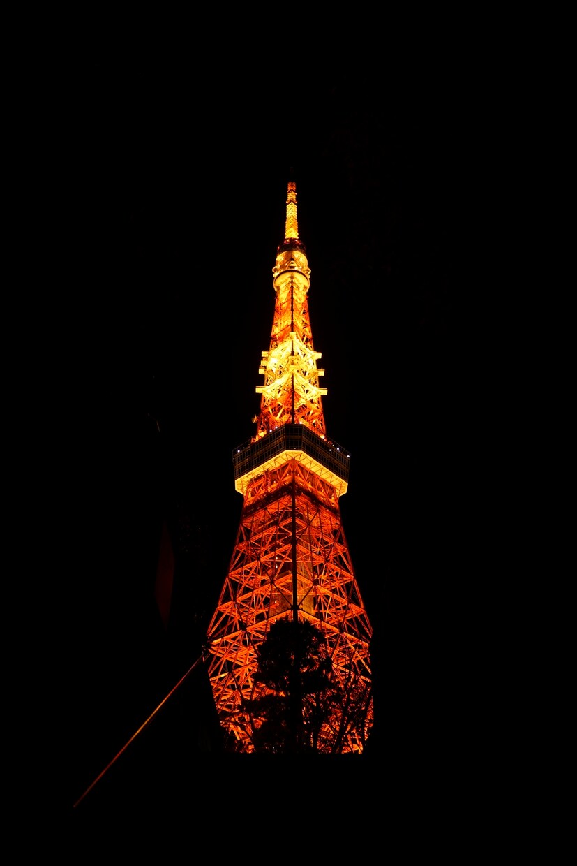 あなたの写真の美しさを引き出す編集承ります ご要望に合わせた写真の編集で、思い出に特別な輝きを与えます イメージ1