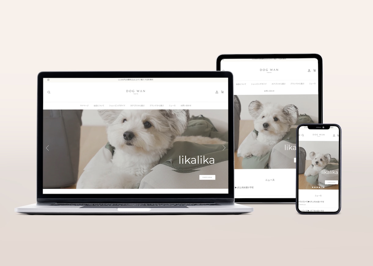 女性に刺さるECサイトを作ります 【丁寧・高品質】Shopifyエキスパートにお任せください イメージ4